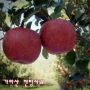 금바우골 이미지