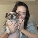 우신펫샵 이미지