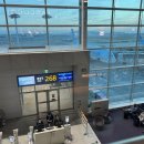 835 | [심천, 선전 여행] 대한항공 KE835 탑승 후기(인천 → 심천/선전), 기내특별식(해산물식)