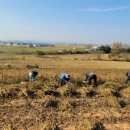 대호지축산 이미지