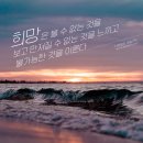 새늘다온 네이버블로그