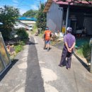정원수도건설 - 981 | 정원수도건설