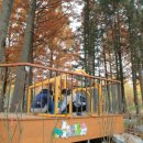 KB국민은행 맞은편 이미지