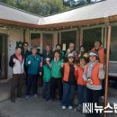 당진3동 이팝나무 이미지