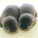 해달 - 공주시 공주대학로 94-3 | 해달