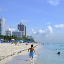 마이애미 이미지