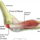 주 PT GYM 이미지