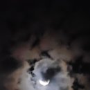 블러드문 | 블러드문 실패후기