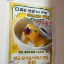 화란 중화요리 | 제주 중식 맛집 화란ㅣ일반 중식과 달랐던 홍콩식 중화요리 동파육 짬뽕 어향가지 후기