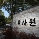 황금두꺼비