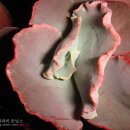 서브앤
