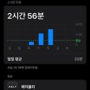 [오전N] 봄 오카리나로 즐겨봄 | 어쩌다 도파민 디톡스 성공한 후기와 방법, 나름의 꿀팁