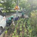 온천2동-4 이미지