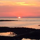 눈큰새우게스트하우스 이미지