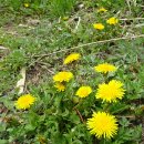 원주굽이길 13코스 구학산둘레숲길 | 원주굽이길 13코스 구학산둘레숲길