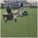 아로하스토리 이미지