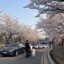 신석체육관 이미지