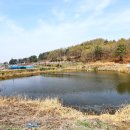 울옥리 이미지