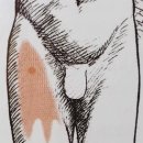 아시아 짐 이미지