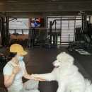 바카티오PT 성북천점 | 안암동헬스장 / 바카티오PT 성북천점 / 운영시간가격주차