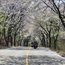 사진작가반 이미지