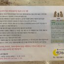 월정소나타 이미지