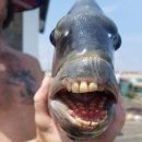 (주)네이든 이미지