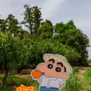 르벙쓸레브 이미지