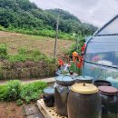 7.8.수.연꽃꽂이 이미지