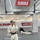 MMA주짓수 이미지