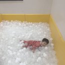 깨방정 지후의 발랄부르스 겨울방학🤣 이미지