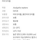 화치공원 이미지