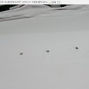 엑슬루 세탁소 이미지