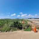 신도리-6 이미지