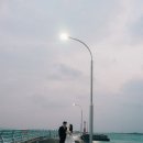 담을 - 담양군 중앙로 116-1 | 가을 제주스냅 촬영 후기｜가을 웨딩스냅으로 담을 수 있는 제주의 특별한 순간
