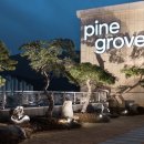 호텔 파인 그로브 이미지