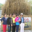 우림청과 Daum카페