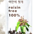 이안푸드 네이버블로그