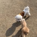 몽썸 이미지