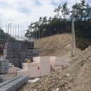 전복오감여행학교 이미지