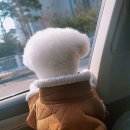 두나의 하루 이미지