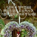 어부야참치 이미지
