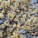 환경자문행정사사무소 이미지