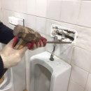 안흥면행정복지센터 이미지