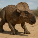 프로토케라톱스 이미지