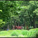 용인자연휴양림 이미지