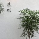 우리꽃집&카페 이미지