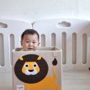 앙팡토토 3스프라우츠 장난감정리함 찐 리뷰