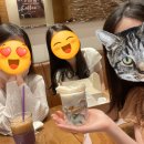 찐찐찌니야