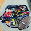 와일드피싱 이미지